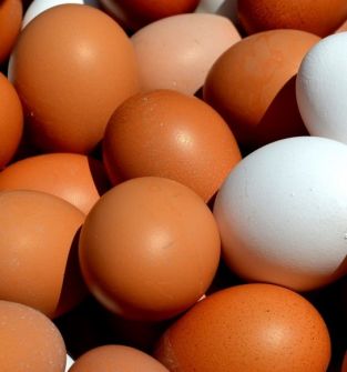 Jaja kurze wiejskie – świeże , różnej wielkości